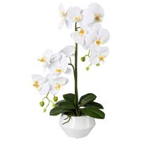 Kunstpflanze Orchideen Weiß, inkl. Topf, H: 52 cm - Weiß/Grün, Design, Keramik/Kunststoff (52cm) - P & B