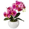 Kunstpflanze Orchideen Rosa, Inkl. Topf, H: 35 Cm - Dunkelrosa/Rosa, Design, Keramik/Kunststoff (35cm) - P & B