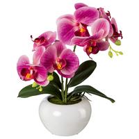 Kunstpflanze Orchideen Rosa, Inkl. Topf, H: 35 Cm - Dunkelrosa/Rosa, Design, Keramik/Kunststoff (35cm) - P & B