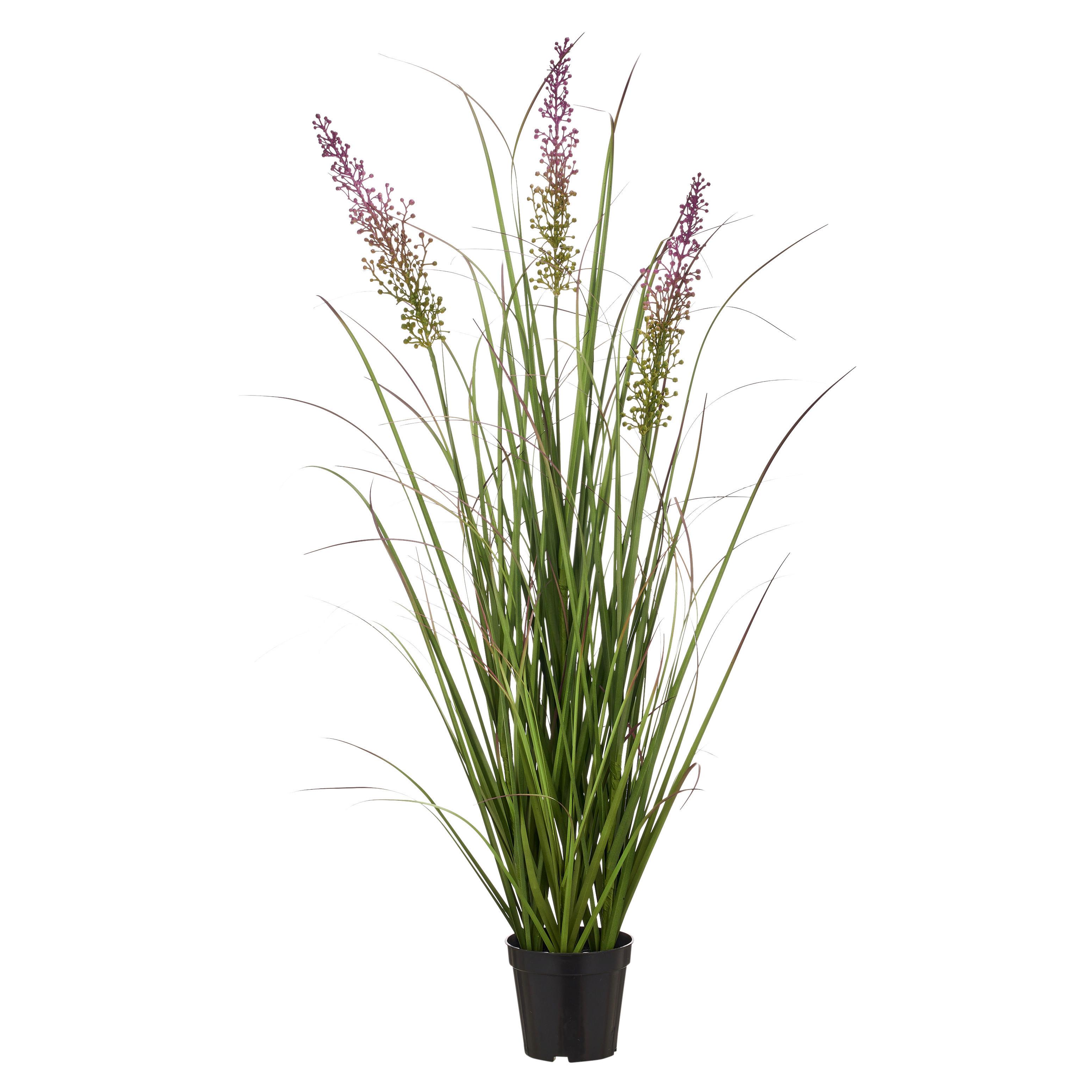 Trs trávy BLOSSOM I -PAZ- - lila/zelená, Basics, kov/plast (100cm) - Mömax