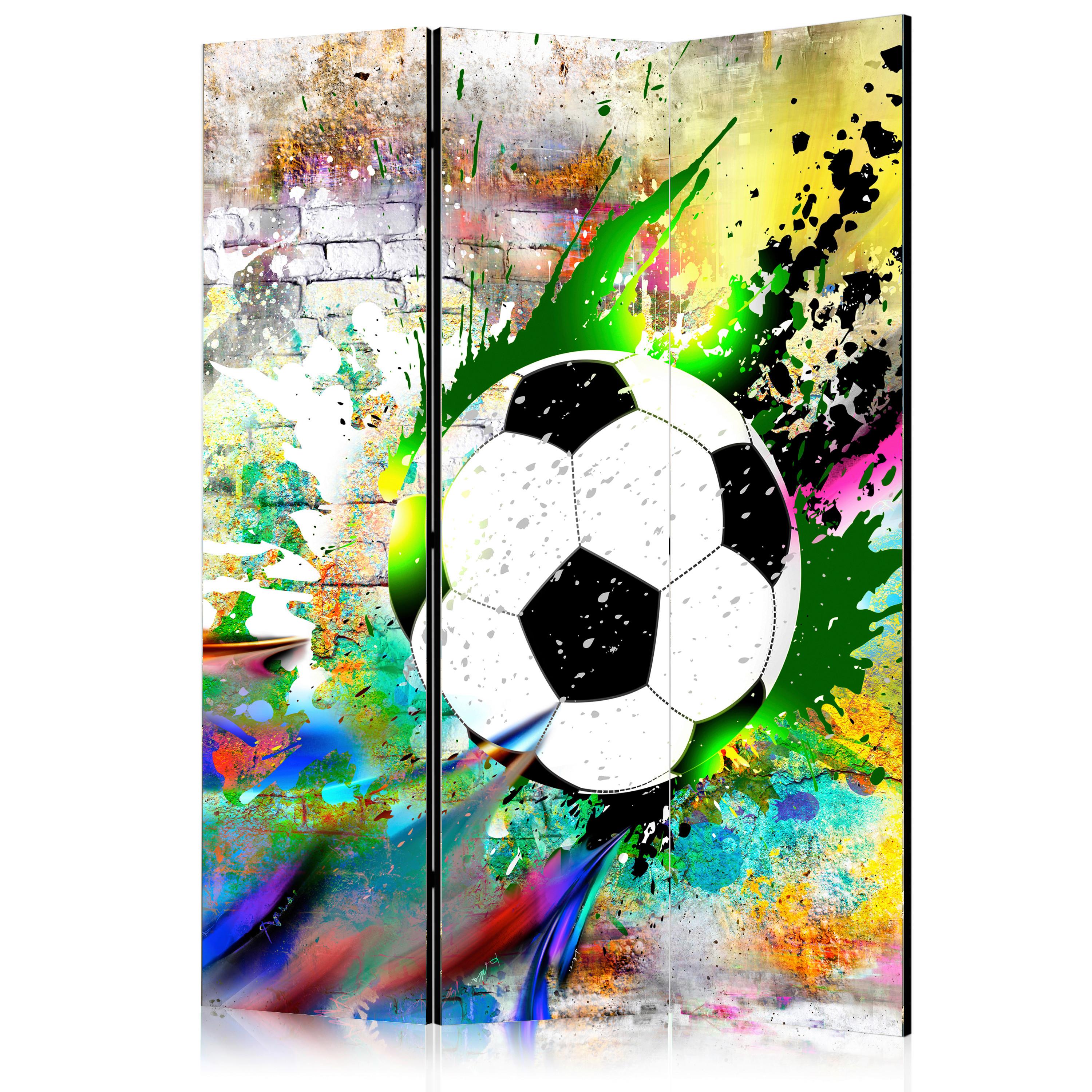 Paravent Multicolor B: 135 cm