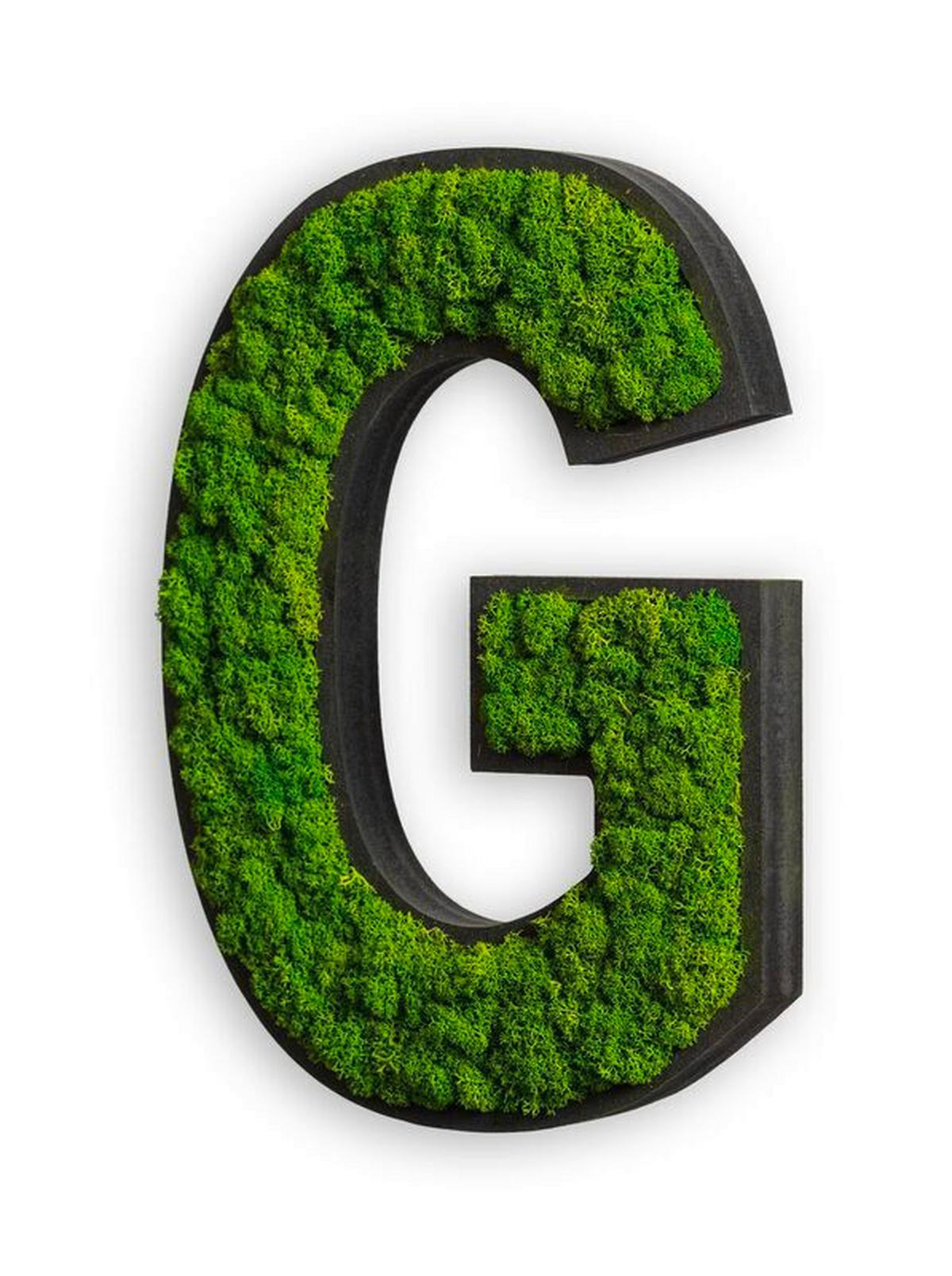 Moosbild Grün B: 35 cm - Schwarz/Grün, Basics, Naturmaterialien/Holz (35/23/5cm)