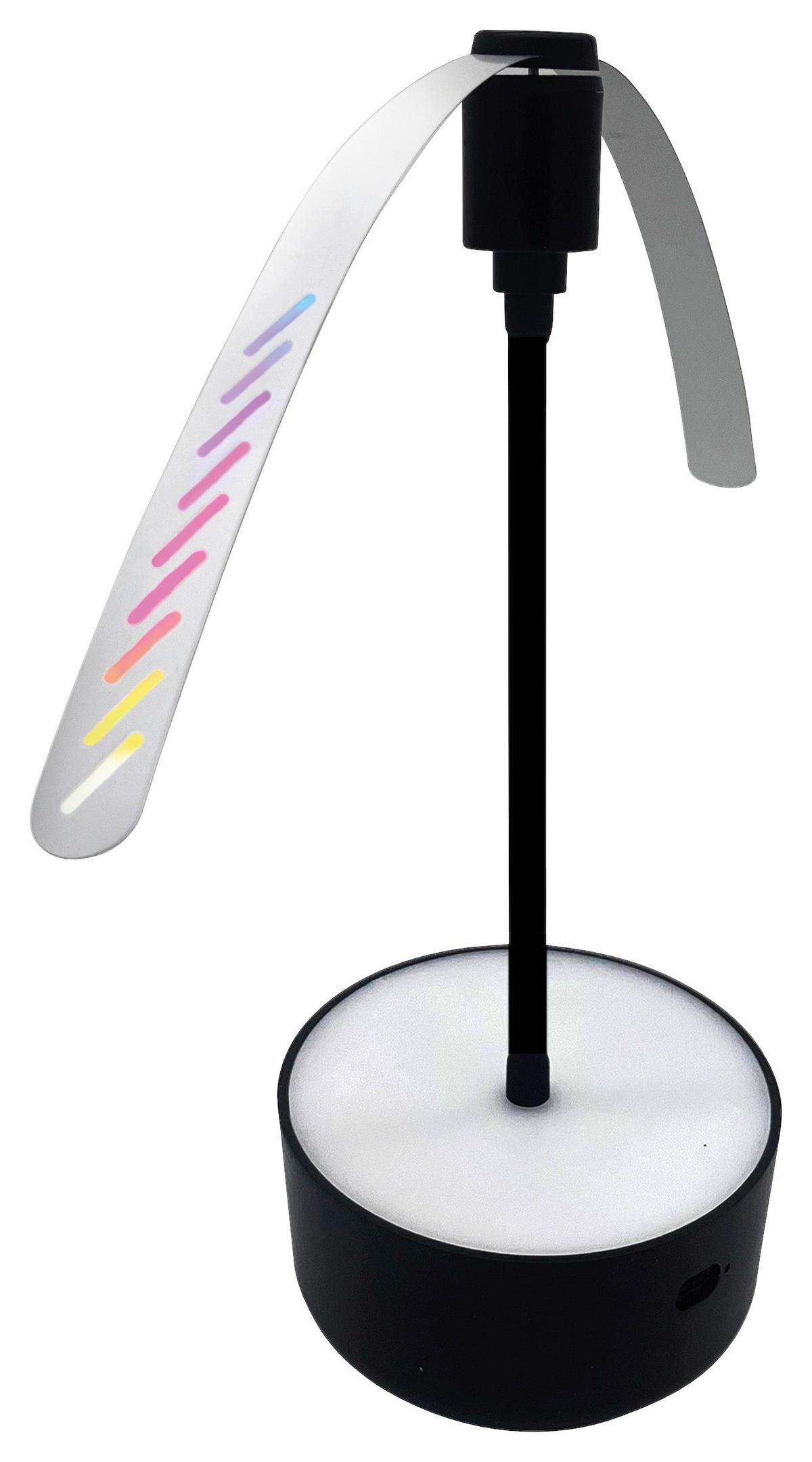 Wespenstopp/Fliegenwedler Schwarz - Schwarz, Basics, Kunststoff (36/28/11cm)