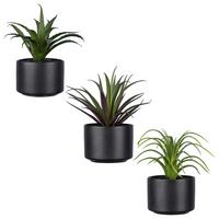 UMELÁ RASTLINA SUKKULENTE II - čierna/zelená, Basics, plast/keramika (15cm)