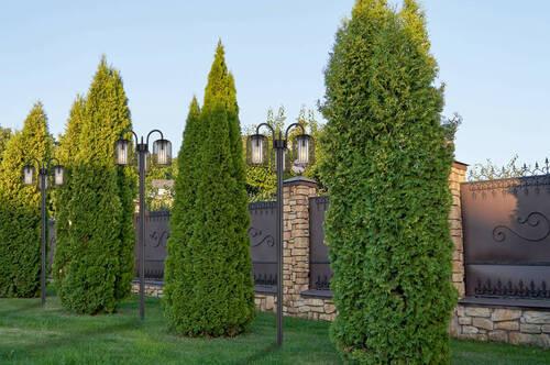 Außenleuchte 31986-3 Ip44 - Klar/Schwarz, Basics, Kunststoff/Metall (48,5/180cm) - Globo