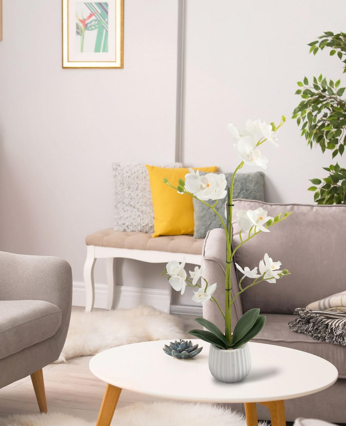 Orchidee Marlene - Gelb/Weiß, KONVENTIONELL, Keramik/Papier (9.5/58cm) - Luca Bessoni