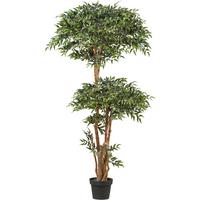 Kunstpflanze Mäusedorne H: 170 Cm - Schwarz/Braun, Design, Kunststoff (170cm) - P & B