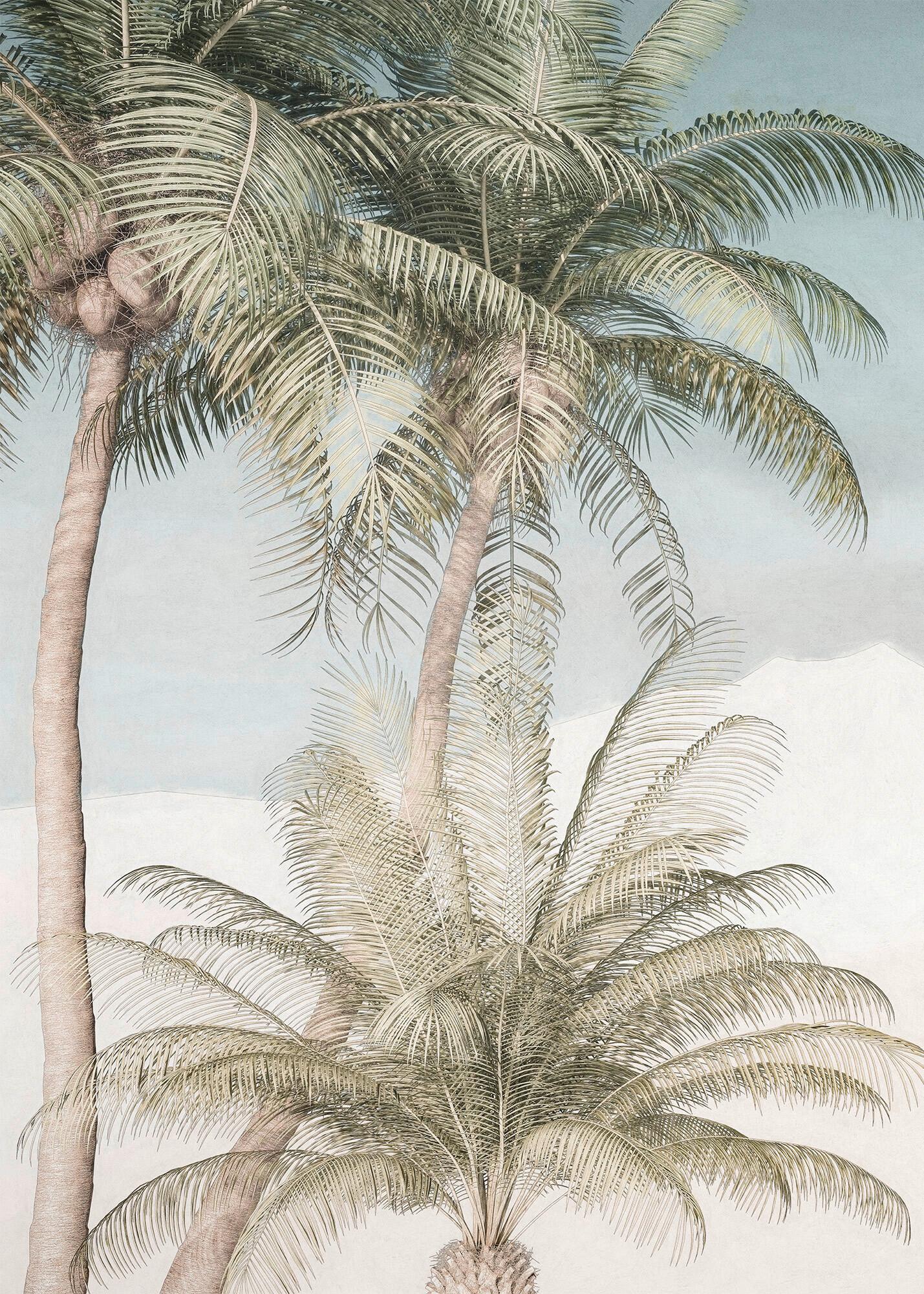 Fototapete Palm Oasis - Multicolor, Trend (200/280cm)