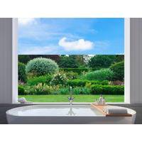 Klebefolie Gartenansicht Andrew 67,5x150 Cm - Basics, Kunststoff (67,5/150cm)