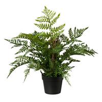 Dekoračná rastlina Farn, V: 40cm - zelená, Basics, plast (35cm) - Modern Living