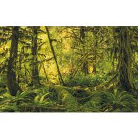 Vliestapete Sh040-Vd4 Ancient World - Natur (400/250cm)