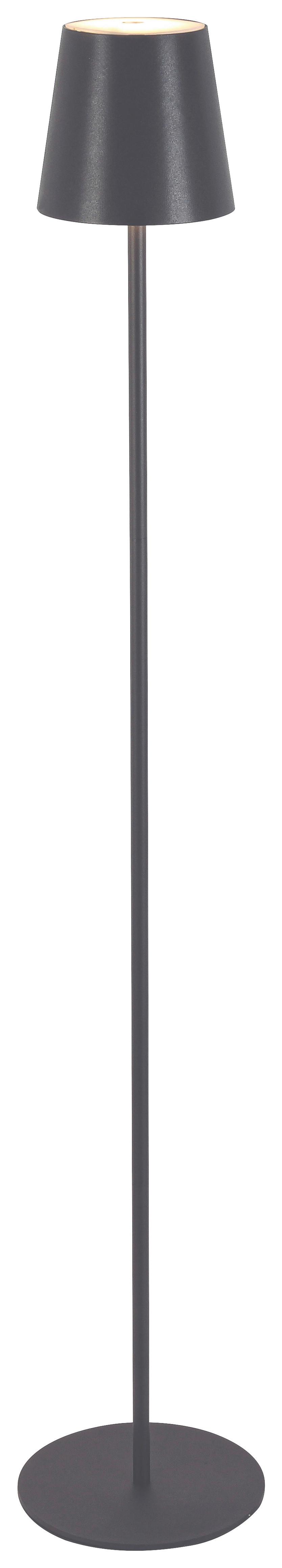 VONKAJŠIE LED SVIETIDLO AUSI - antracitová, Modern, kov/plast (22/130cm) - Modern Living