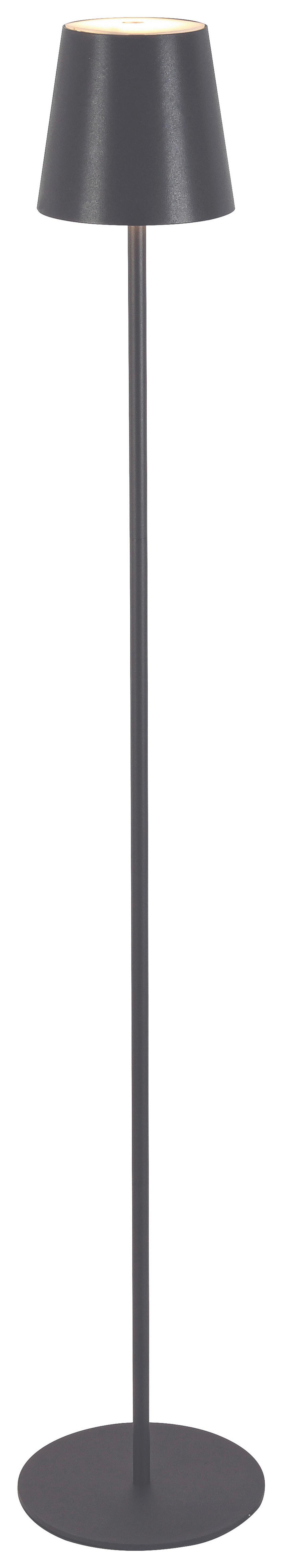 VONKAJŠIE LED SVIETIDLO AUSI - antracitová, Modern, kov/plast (22/130cm) - Modern Living