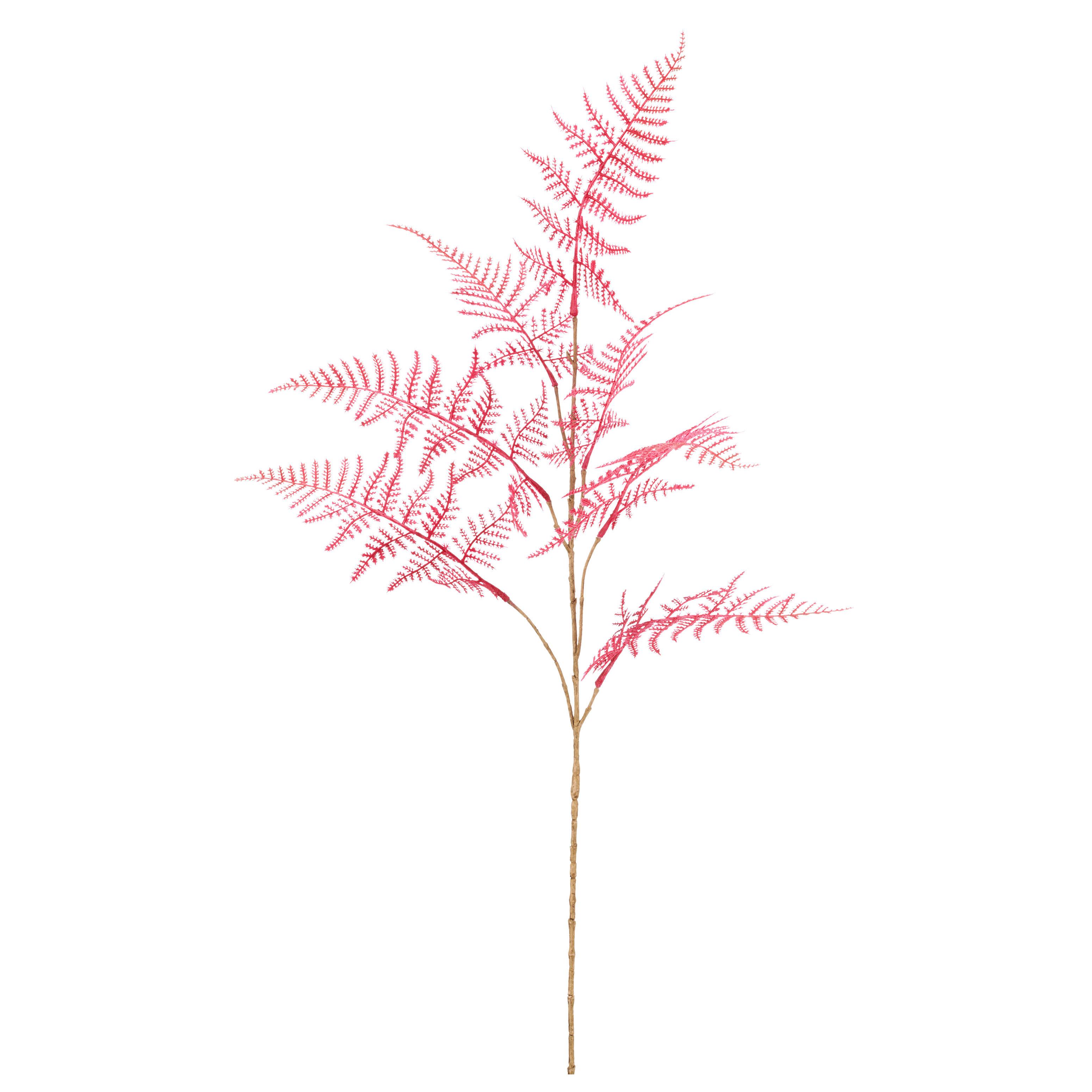 Umelá rastlina PLUMOSUS I -PAZ- - pink/krémová, Basics, kov/plast (80cm) - Mömax