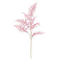 Umelá rastlina PLUMOSUS I -PAZ- - pink/krémová, Basics, kov/plast (80cm) - Mömax