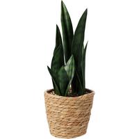 Műnövény Herb - natúr/zöld, műanyag/természetes anyagok (14,5/38cm)