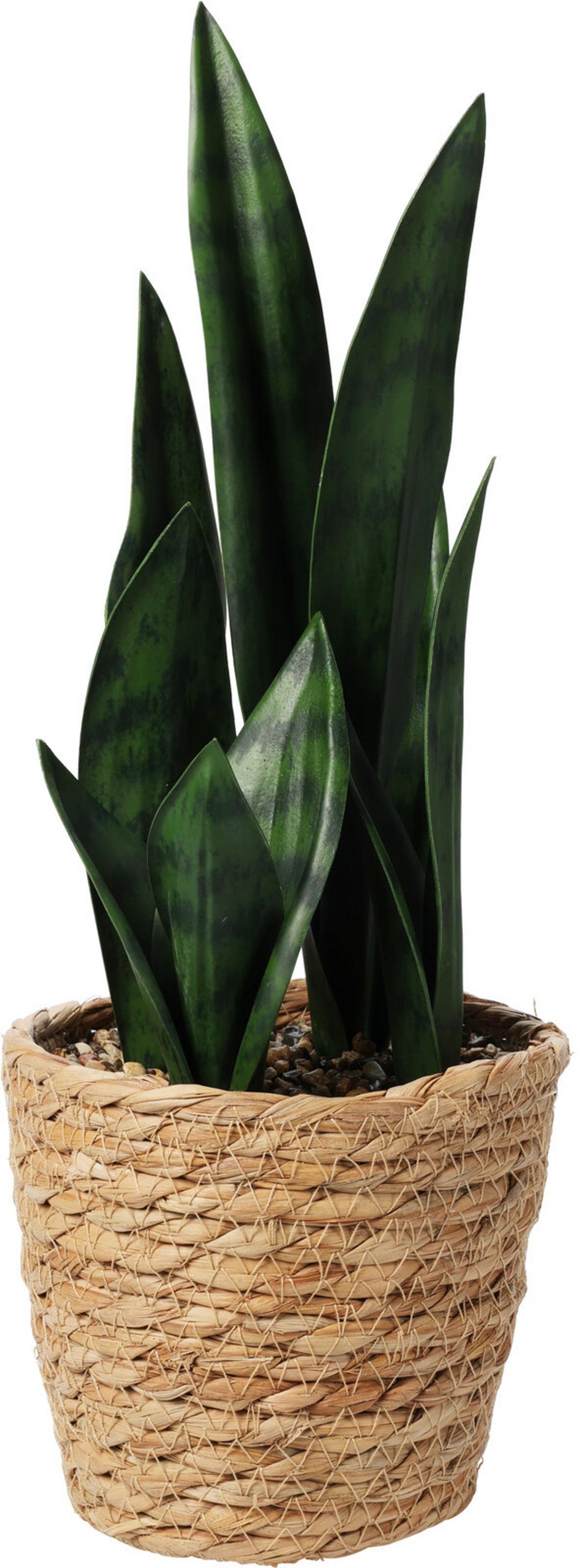 Műnövény Herb - natúr/zöld, műanyag/természetes anyagok (14,5/38cm)