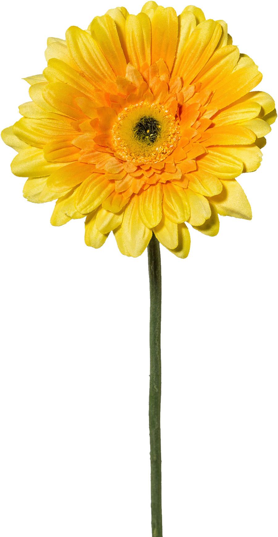 Kunstblume Gerbera L: ca. 63cm, Amra - Gelb/Grün, Natur, Kunststoff (63cm)