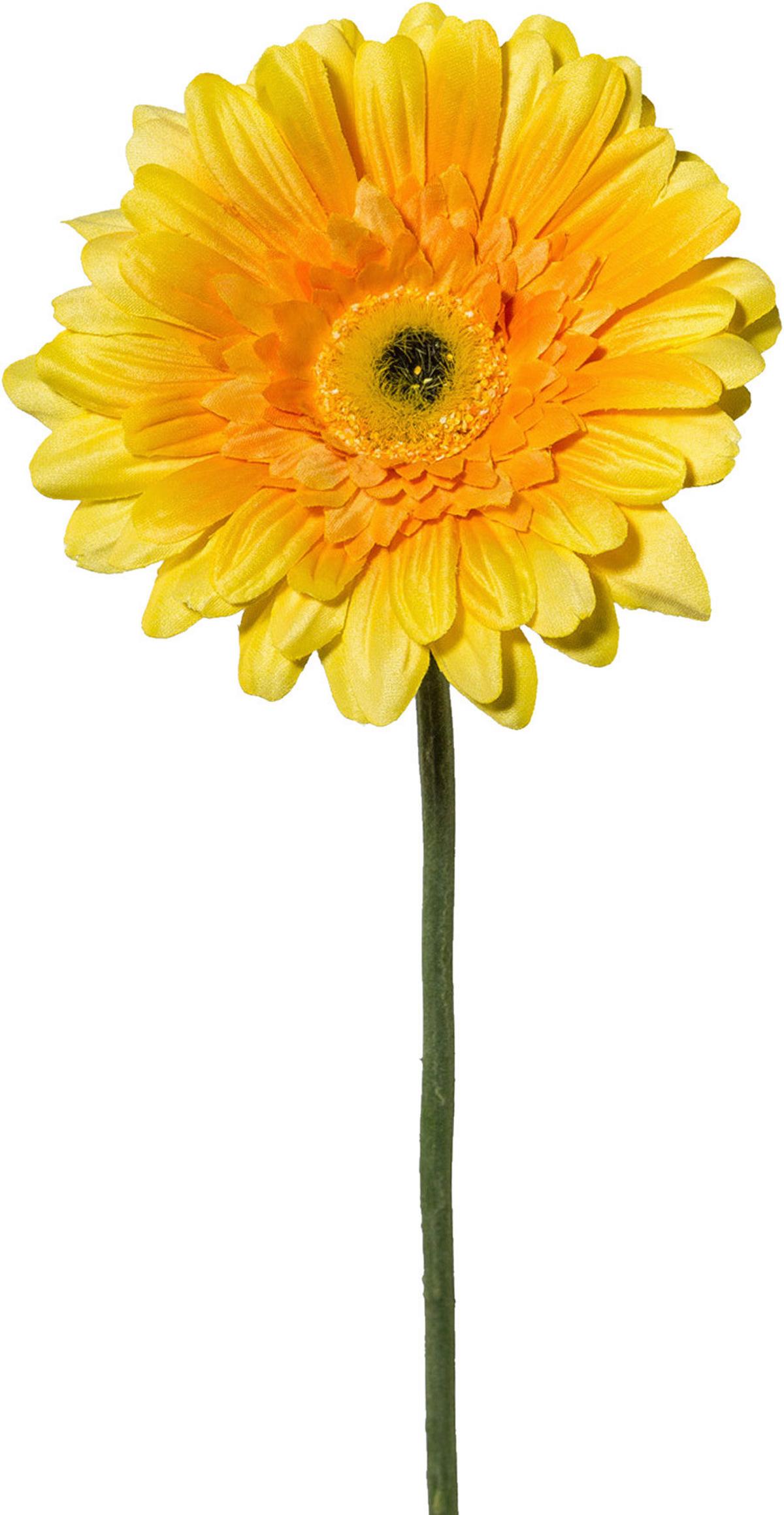 Kunstblume Gerbera L: ca. 63cm, Amra - Gelb/Grün, Natur, Kunststoff (63cm)