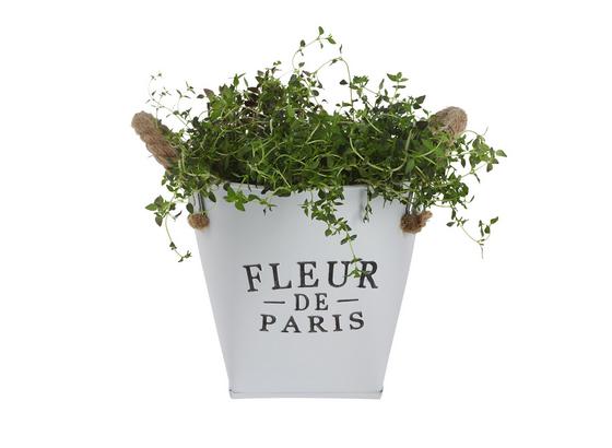 Kvetináč Fleur De Paris - biela, Romantický / Vidiecky, kov (17cm) - Mömax modern living Kvetináč Fleur De Paris - biela, Romantický / Vidiecky, kov (17cm) - Mömax modern living