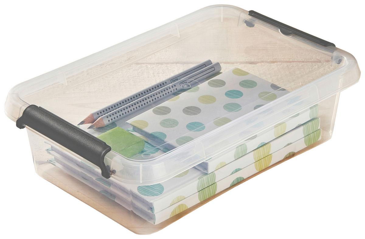 Aufbewahrungsbox mit Deckel Mila 3,1l, 29,5x20x8,5 cm - Transparent/Schwarz, KONVENTIONELL, Kunststoff (29,5/20/8,5cm) - Homezone