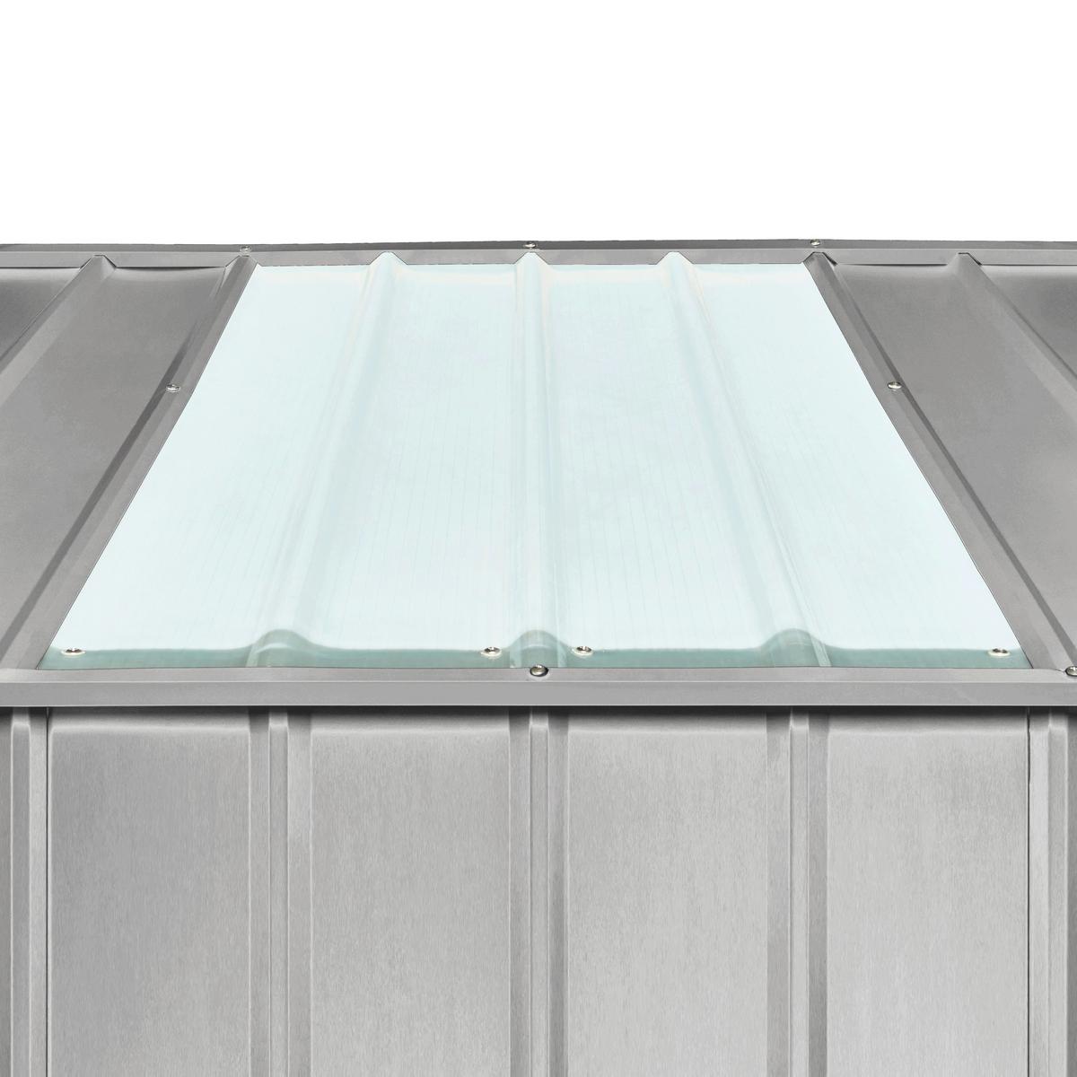 Gerätehaus Lichtpaneele Fürs Dach - Transparent, Basics, Kunststoff (67/94cm)