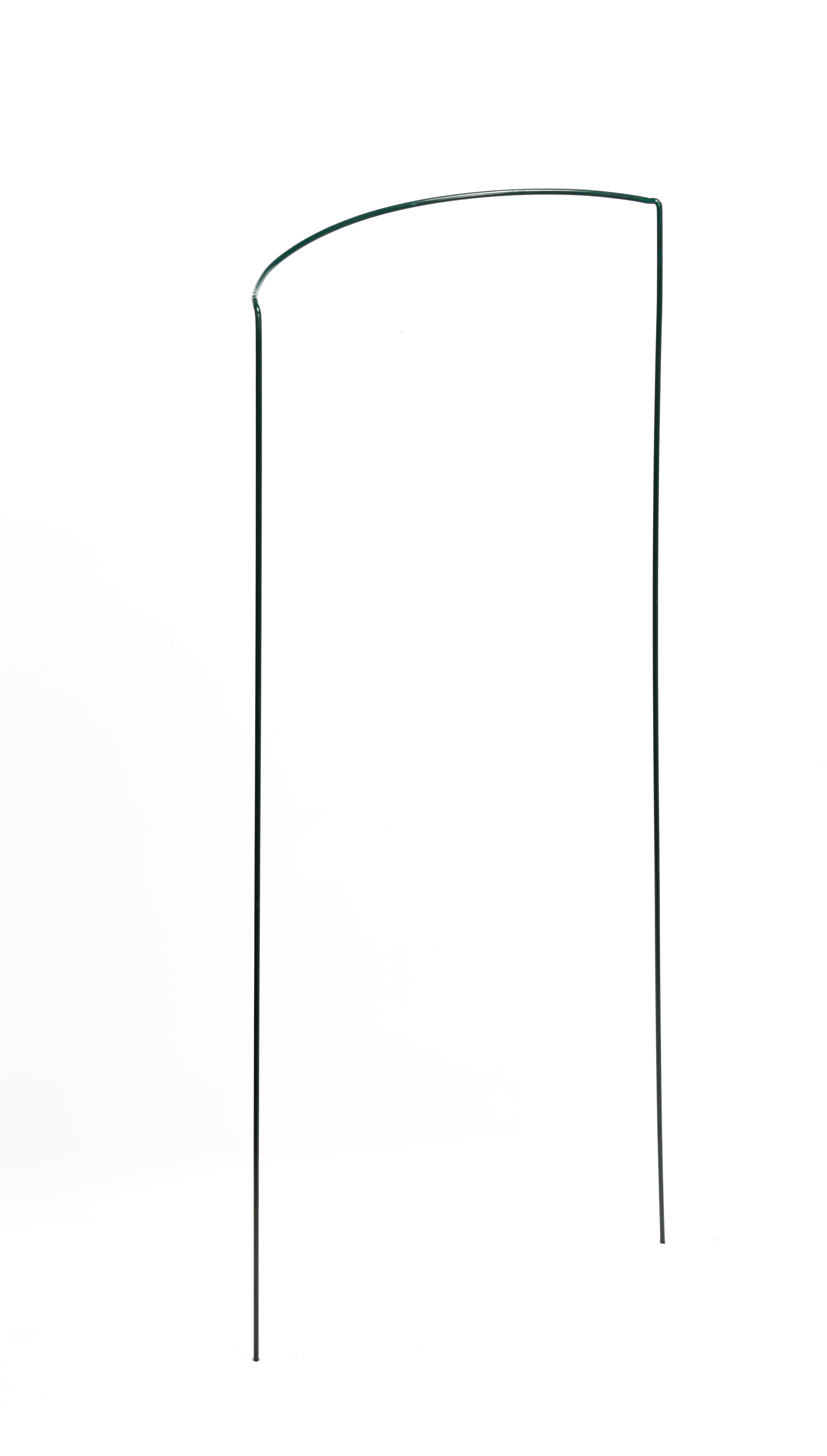 Növényfuttató Staudenstütze 40 X 100 - zöld, Basics, műanyag/fém (40/100cm)
