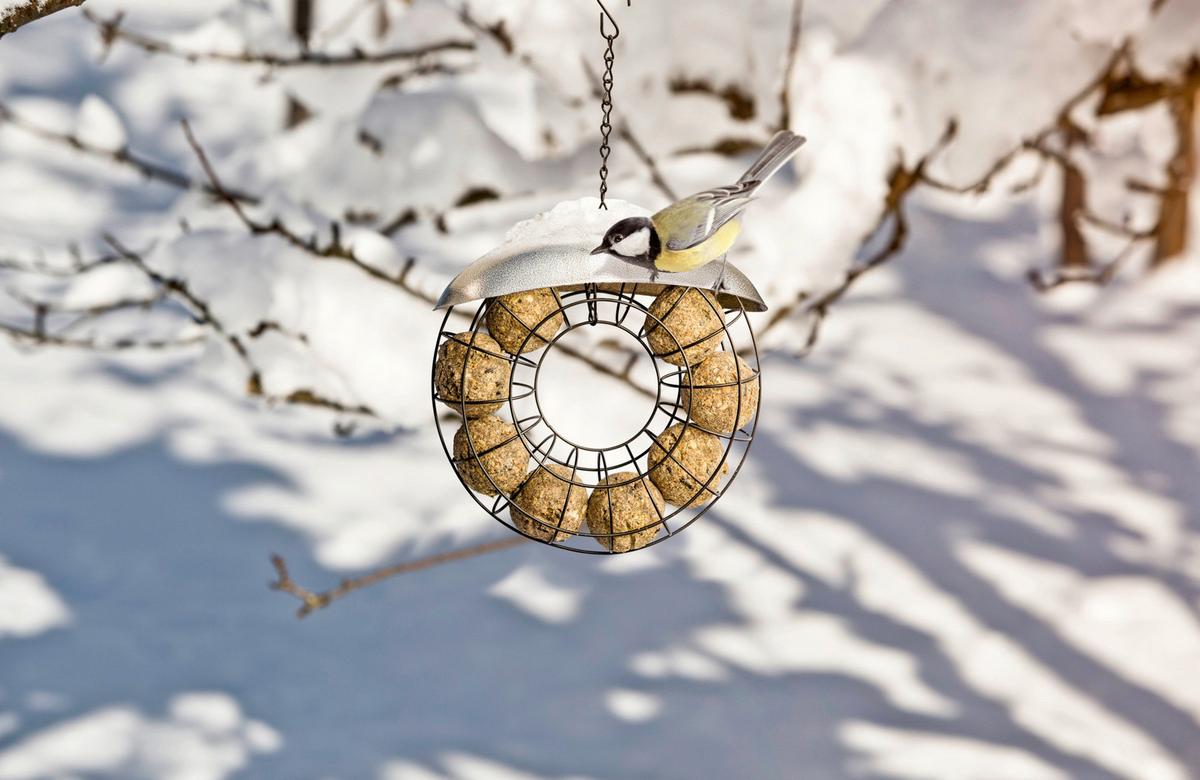 Meisenknödelhalter Bxhxt: 23x23x,5x8,2 Cm - Edelstahlfarben, Basics, Metall (23/23,5/8,2cm) - Windhager