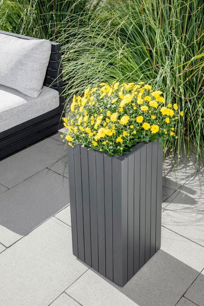 Blumenkasten H: 64 cm, Anthrazit - Anthrazit, Basics, Holz (30/30/64cm) - Prestige Home