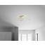 Led Stropní Svítidlo Fran - barvy niklu, Romantický / Rustikální, kov/umělá hmota (70/23cm) - Premium Living Led Stropní Svítidlo Fran - barvy niklu, Romantický / Rustikální, kov/umělá hmota (70/23cm) - Premium Living