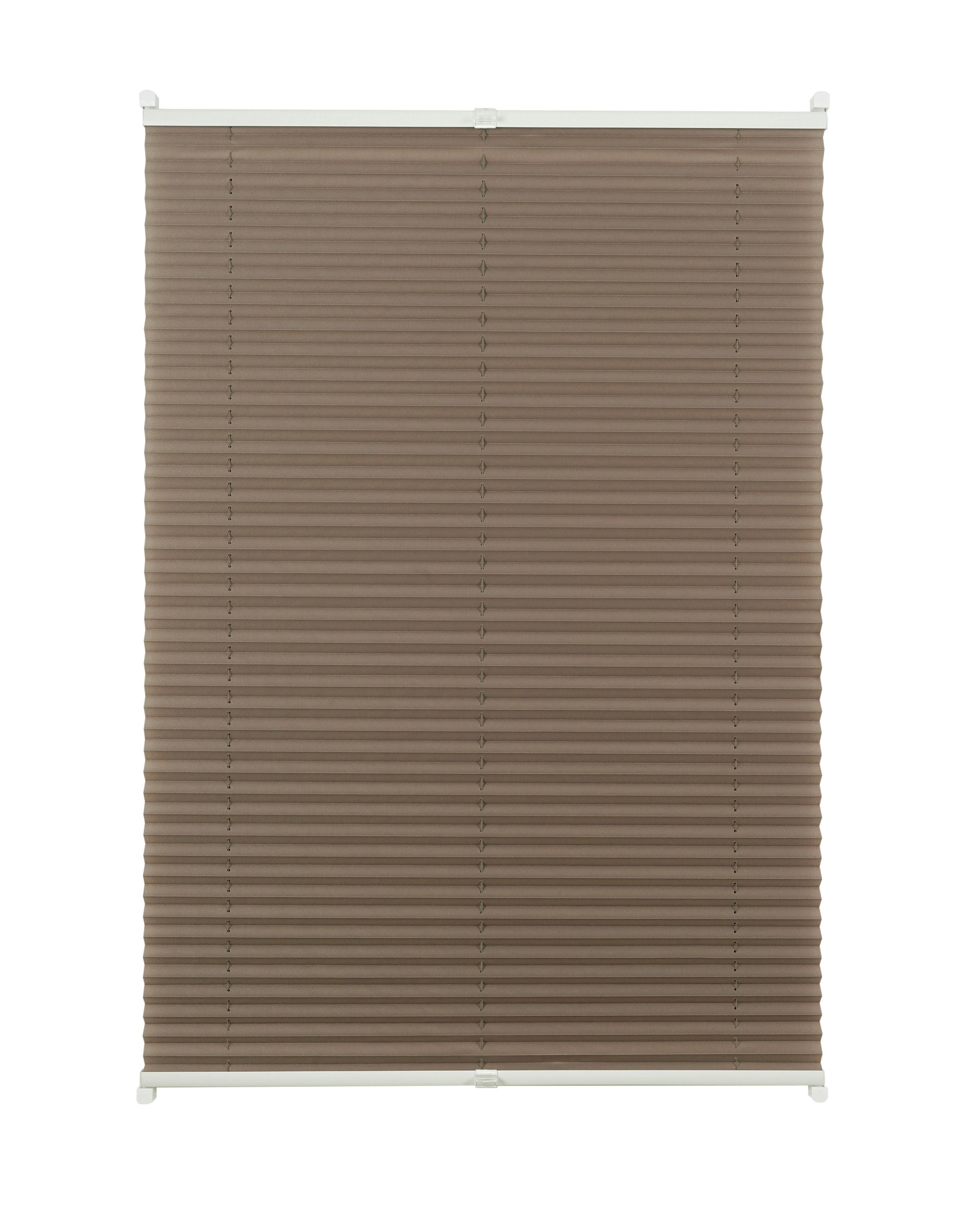 Plissee Free Taupe B: 100 cm - Taupe, Basics, Textil (100/130cm) - Homeware
