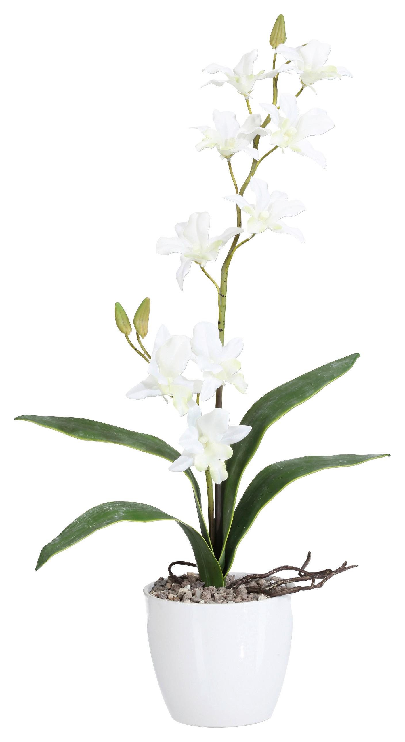 Kunstpflanze Orchideen Weiß, Topf: Weiß, H: 60 cm - Weiß/Grün, Design, Keramik/Kunststoff (60cm) - P & B