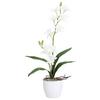 Kunstpflanze Orchideen Weiß, Topf: Weiß, H: 60 cm - Weiß/Grün, Design, Keramik/Kunststoff (60cm) - P & B