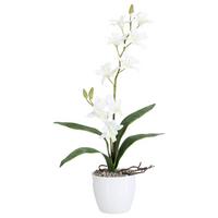 Kunstpflanze Orchideen Weiß, Topf: Weiß, H: 60 cm - Weiß/Grün, Design, Keramik/Kunststoff (60cm) - P & B