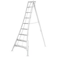 Leiter 3-Holm-Gartenleiter 270cm - Silberfarben, Basics, Metall (210/270/127cm)