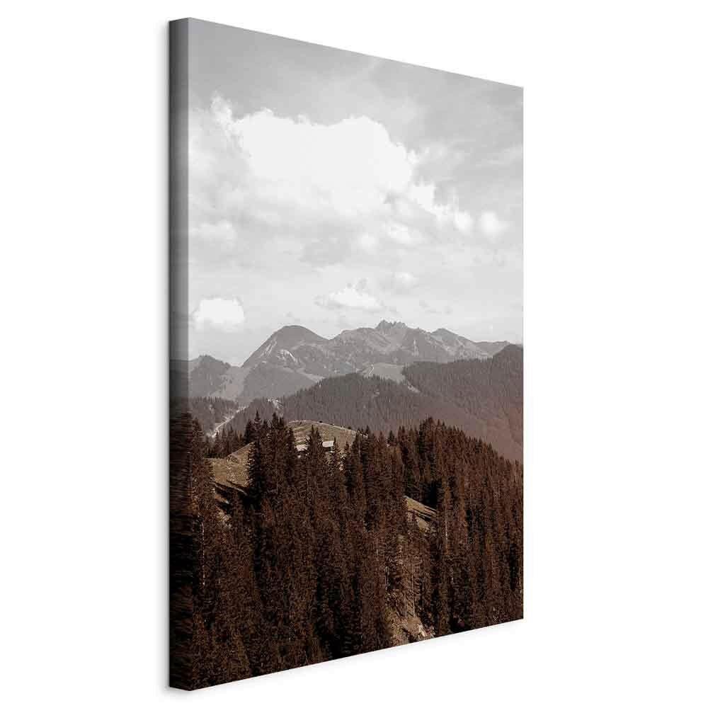 Leinwandbild Landscape Braun Weiß B: 40 cm - Braun/Weiß, Basics, Holzwerkstoff/Textil (40/60/1.2cm) - artgeist