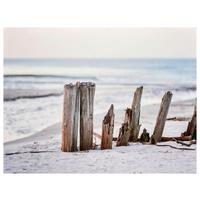 Leinwandbild Nils - Multicolor/Naturfarben, KONVENTIONELL, Holz/Textil (80/60/1,8cm) - Luca Bessoni