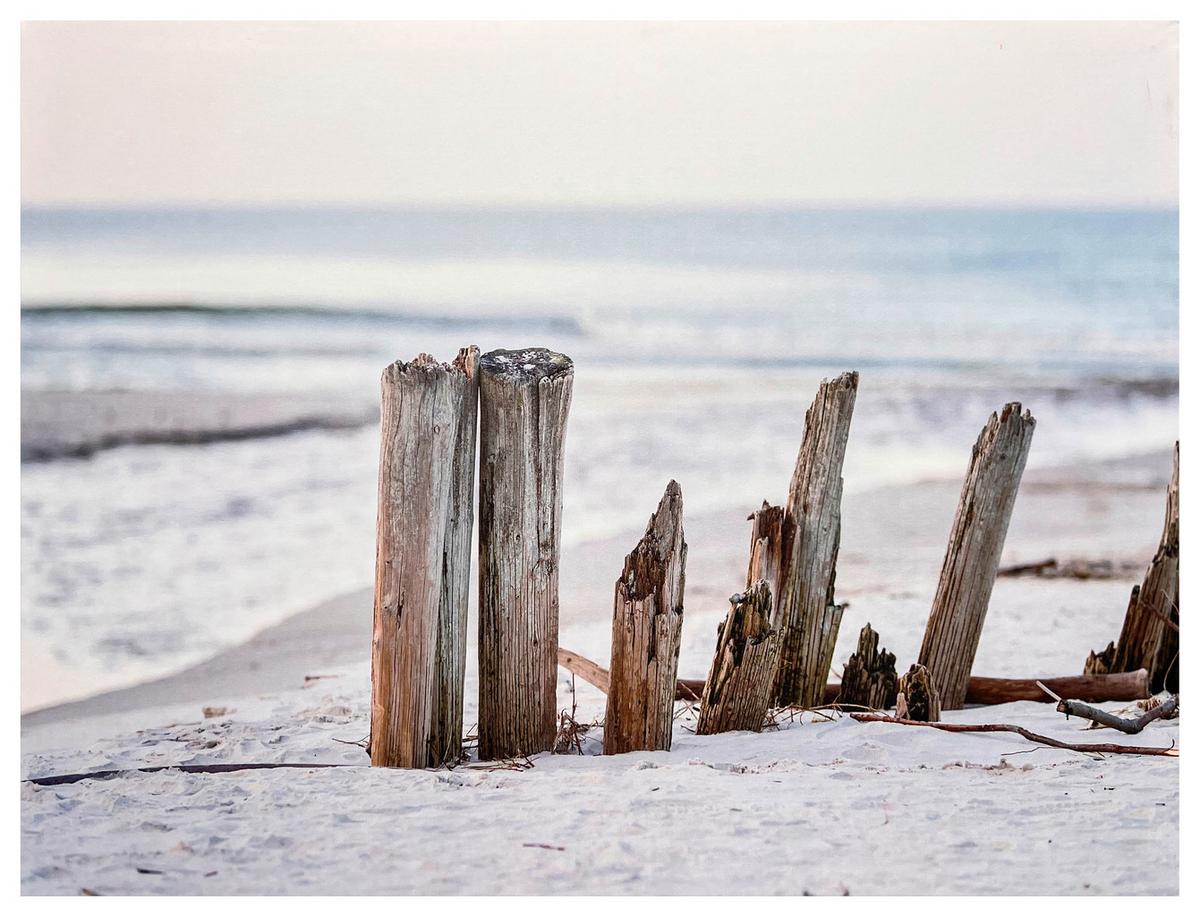 Leinwandbild Nils - Multicolor/Naturfarben, KONVENTIONELL, Holz/Textil (80/60/1,8cm) - Luca Bessoni