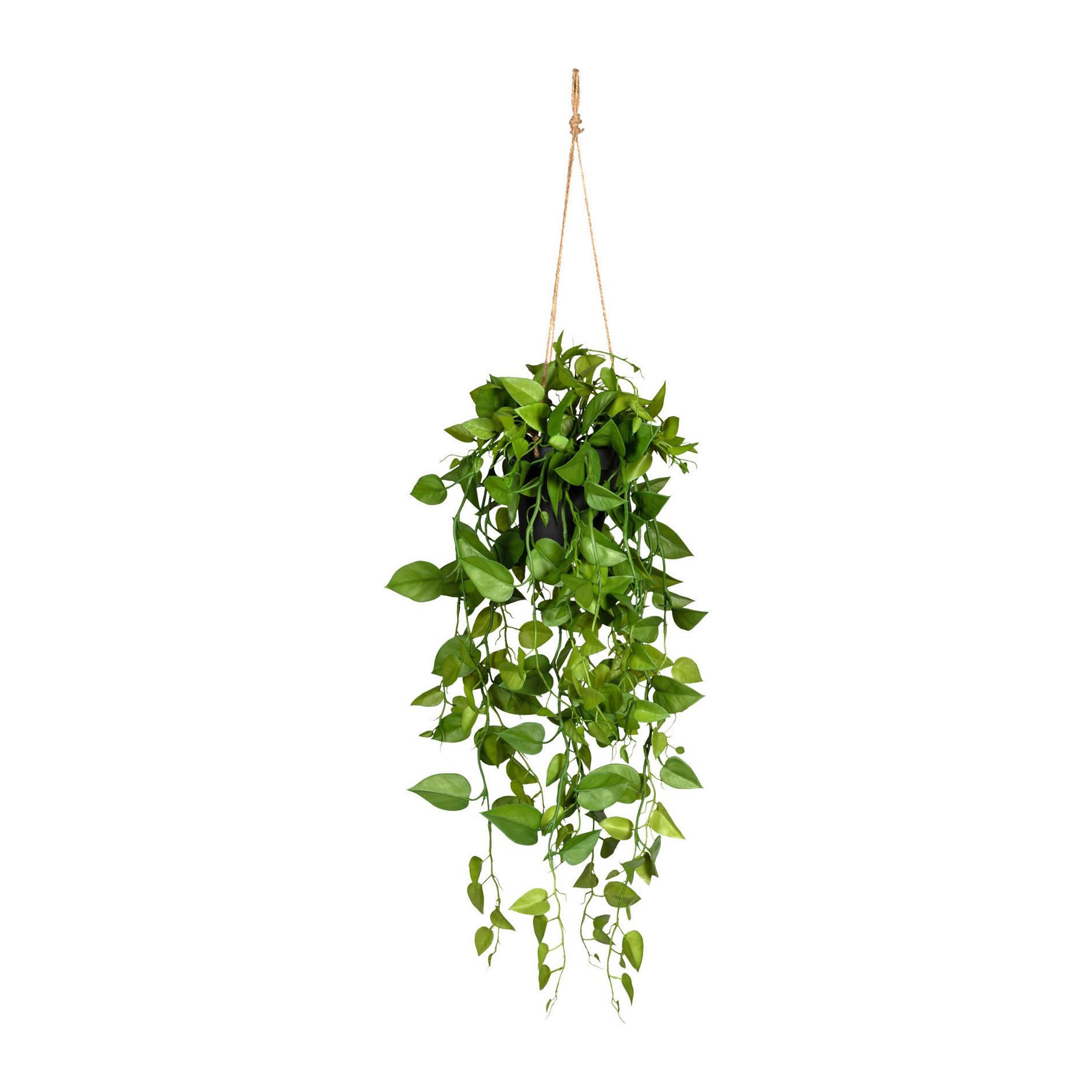 UMELÁ RASTLINA PHILODENDRON II - čierna/zelená, Modern, plast (75cm) - Modern Living