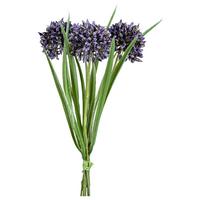 UMELÁ RASTLINA ALLIUM I -PAZ- - lila/zelená, Konventionell, plast (28cm) - Modern Living