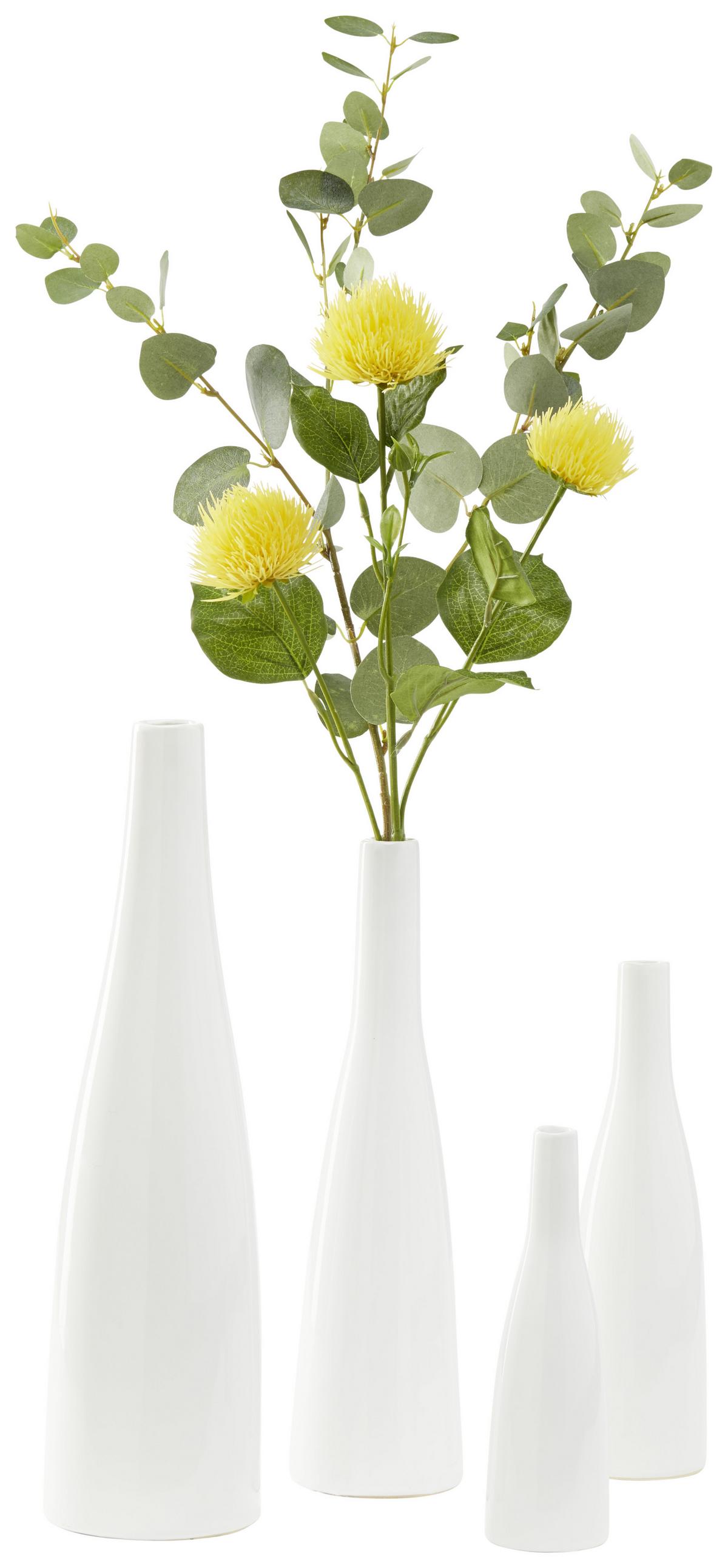 VÁZA PLANCIO - bílá, Moderní, keramika (5,5/20.5cm) - Modern Living