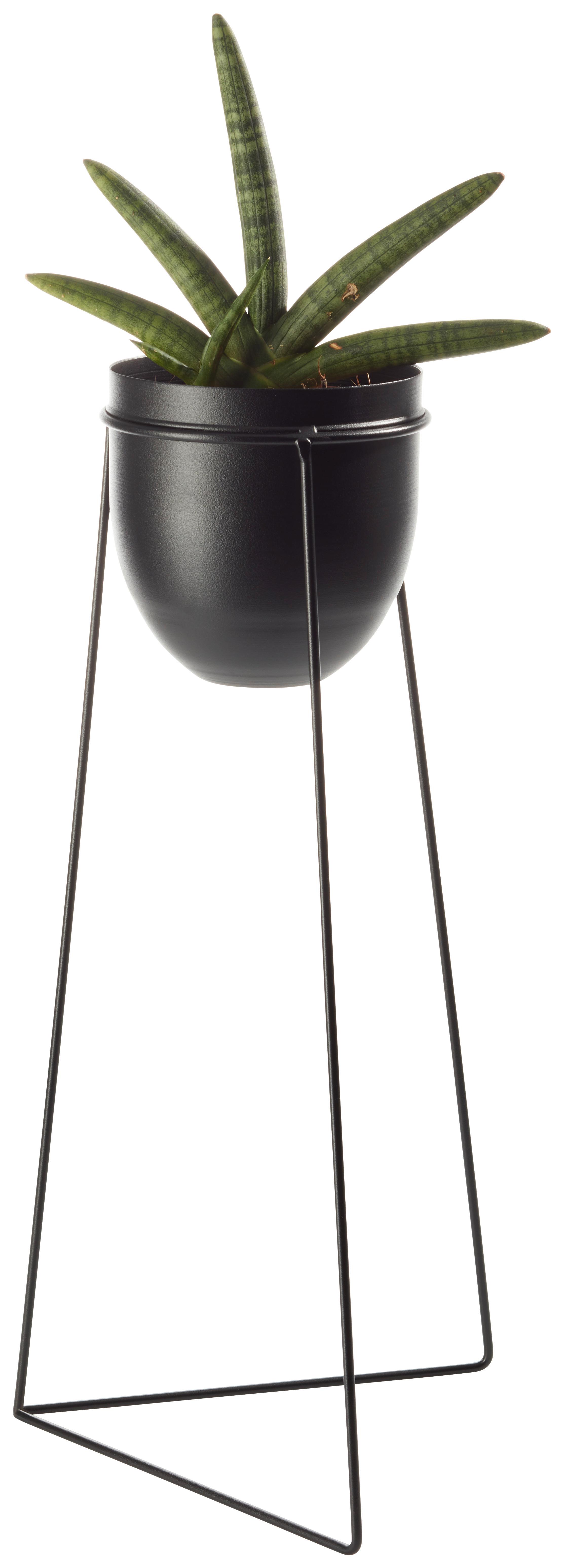 Obal Na Kvetináč Urbanus, V: 60cm - černá, Basics, kov (24/50cm) - Modern Living
