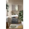 Badezimmer Soft Grau Hg B: 60 cm - Grau Hochglanz/Schwarz, MODERN, Holzwerkstoff (60cm) - MID.YOU