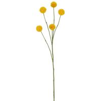 Dekozweig Graspediazweig - Gelb/Grün, Basics, Kunststoff/Textil (71cm)