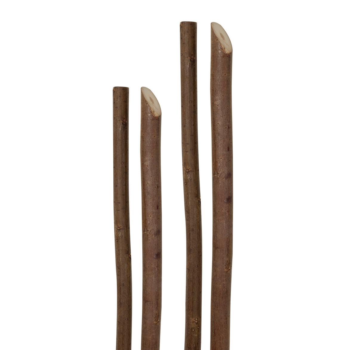 Rankhilfe 07741 Weide-Pflanzstäbe - Braun, Basics, Holz (150cm)