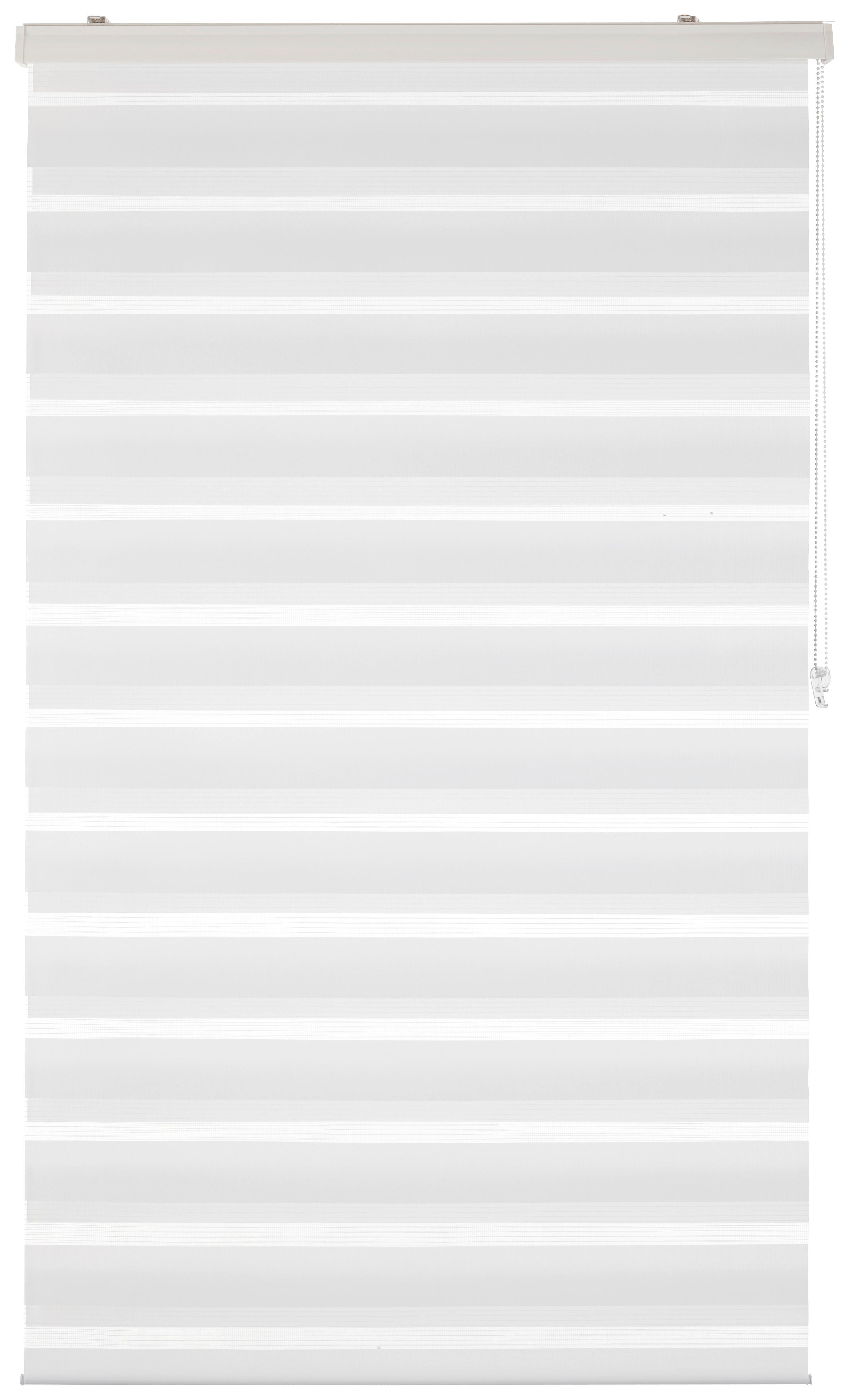 DUÁLNÍ ROLETA Thomas, 100x160cm, bílá - bílá, textil/plast (100/160cm) - Premium Living