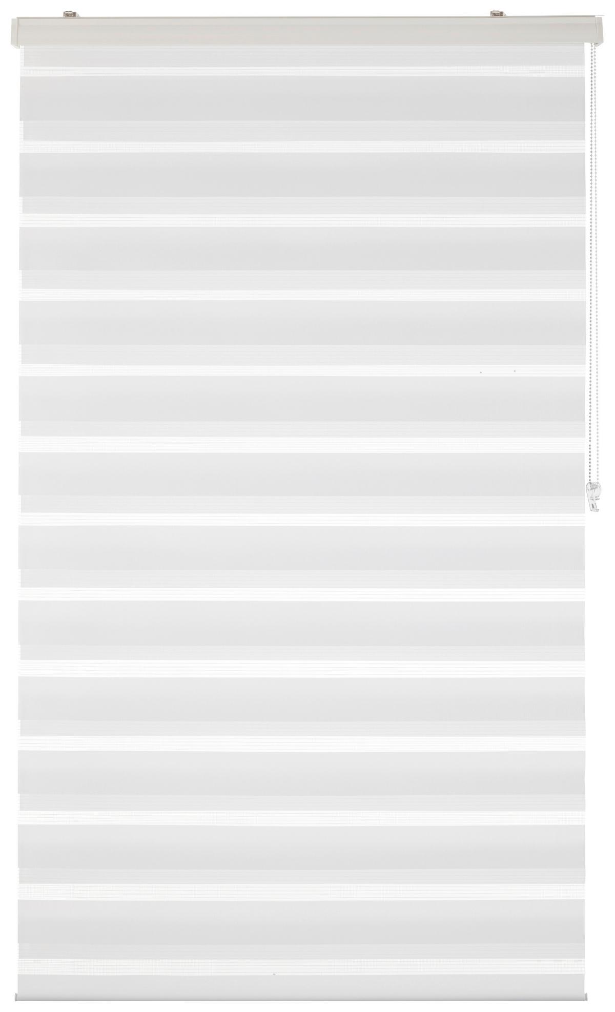 DVOJITÁ ROLETA Thomas, 100x160cm, biela - biela, textil/plast (100/160cm) - Premium Living