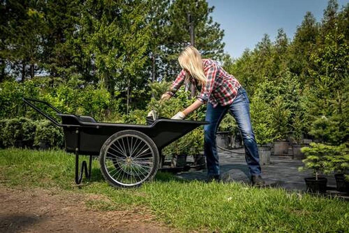 Gartenkarre Premium Schubkarre - Schwarz, Basics, Kunststoff (74/74/165cm)