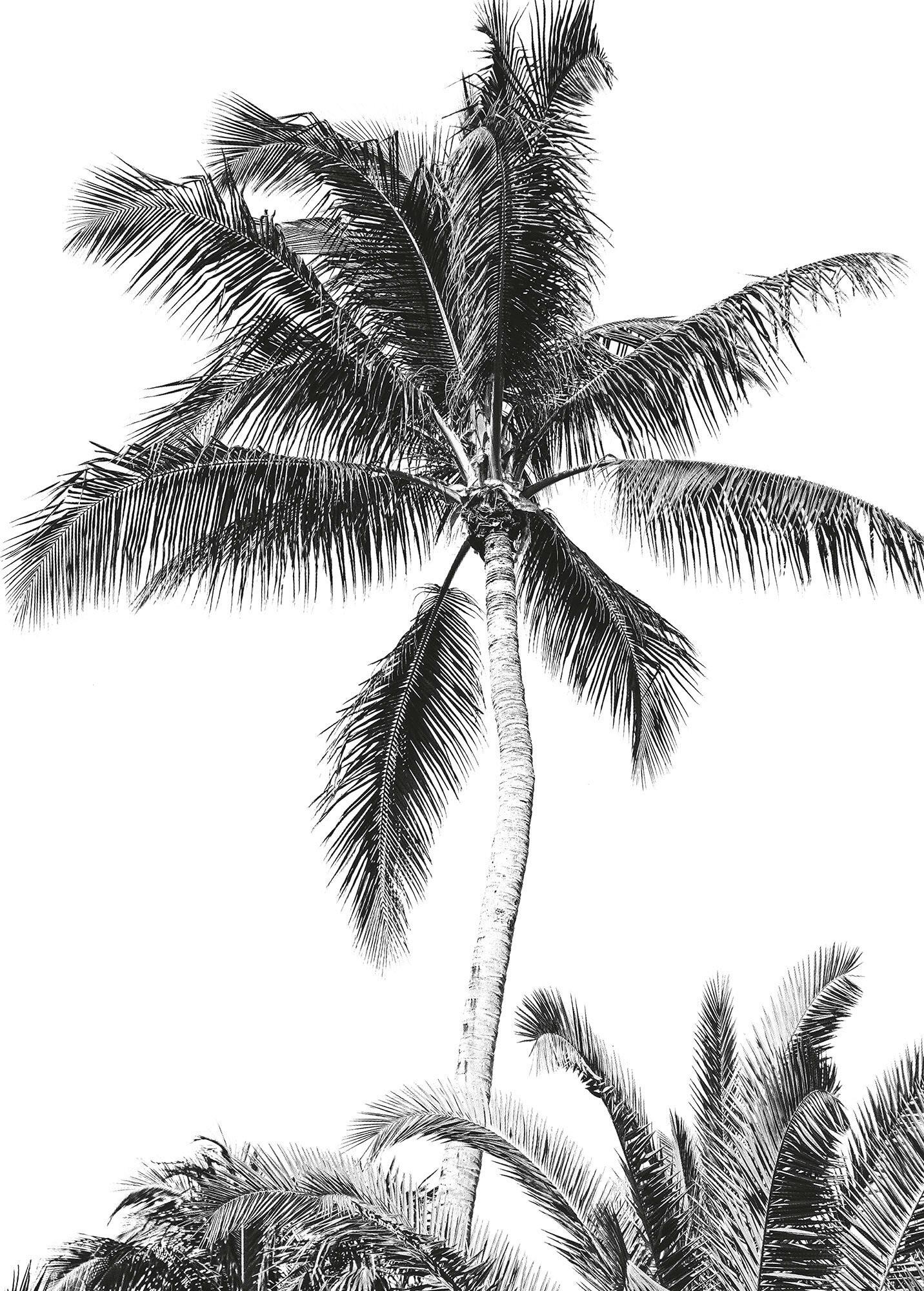 Fototapete 200/280 cm Retro 