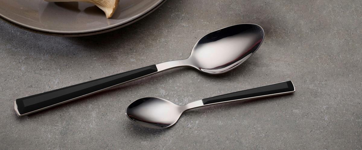 SADA PRÍBOROV SCARLET - čierna/strieborná, Basics, kov - Echtwerk